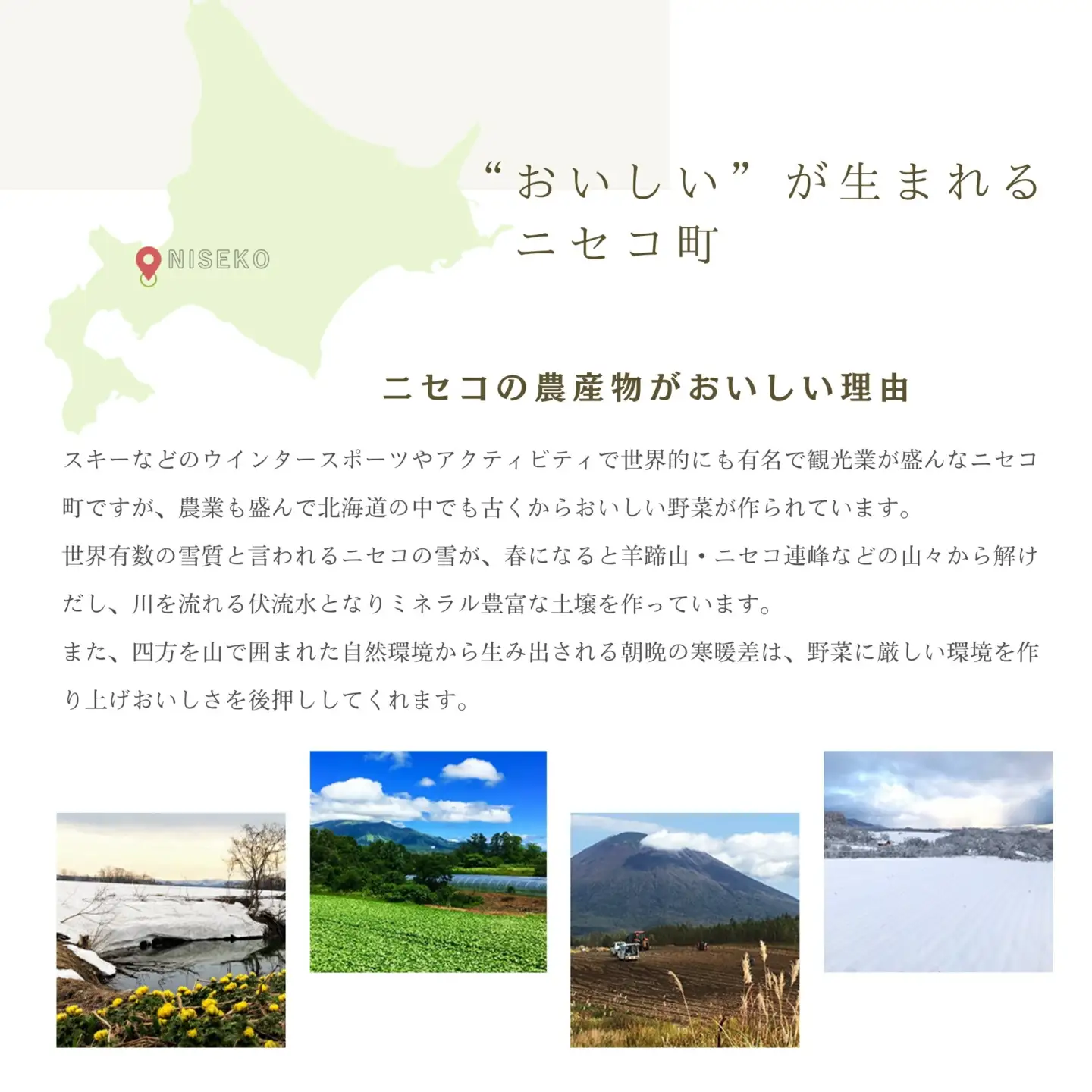 《2026年分受付中》北海道ニセコ名産「キタアカリ」＆「とうや」!新じゃが食べ比べセット（各10kg）/高橋農園【3700701】