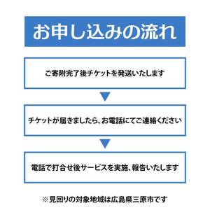 空き家の見回り点検 1回ドローン撮影 あきや 見回り 広島県三原市 215001