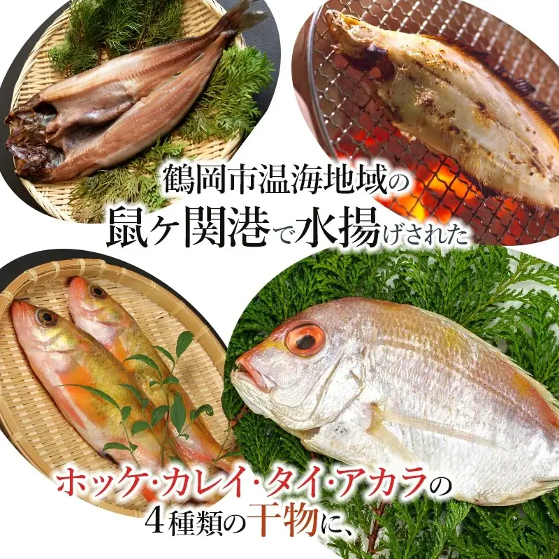 浜のかあちゃんの店　鼠ヶ関港水揚干物＋イカ塩辛＋乾燥紅えびセット　鼠ヶ関水産加工生産組合
