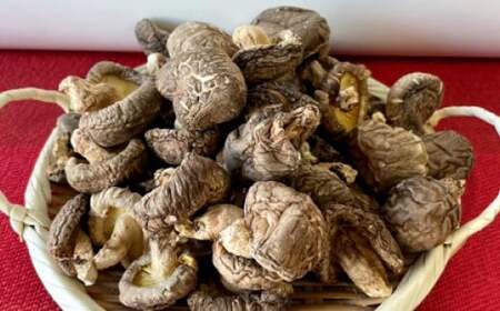 015-1255x1 山盛りどんこ400g 山盛り大葉しいたけ400g 山盛り不揃いしいたけ500g 各1個 合計1.3kg