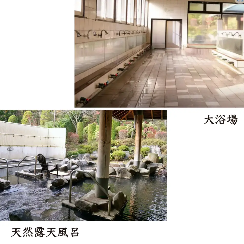 ほっとプラザ　杉の子温泉　入浴回数券 11枚セット　【02402-0406】