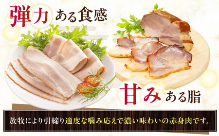 放牧豚 ベーコン4種セット 計860g 北海道 無塩せき [AXBA152]