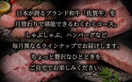 わくわく26万コース＜12回定期便＞