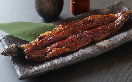 うなぎ 【全6回定期便】　うなぎの長焼き [ANHH003] うなぎ