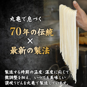 讃岐うどん 半生 12人前 つけだし かけだし  うどん