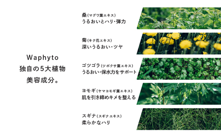 Waphyto インティメイト ブライトニングクリーム 30g ワフィト