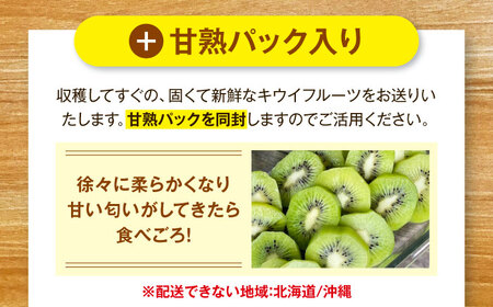 キウイフルーツ 訳あり（18個）【11月上旬から順次発送】キウイフルーツ[AGDC007]