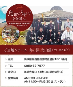 大山望 鳥取和牛 切り落とし肉(上)（もも、腕）500g 牛肉 和牛 お肉 切り落とし