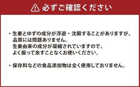 【6ヵ月定期便】 Craft GingerY （ゆず） 200ml×2 無添加 国産 ピリリと生姜にゆず香る ジンジャーシロップ 合計2.4L ／ シロップ しょうが ジンジャー 柚子 ユズ  高知県 香美市