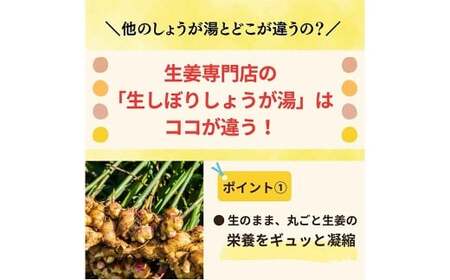 【自然王国 公式】 生しぼり しょうが湯 18g×20袋入 （計360g） 化粧箱 ／ 生姜湯 生姜 しょうが 粉末飲料 高知県 香美市