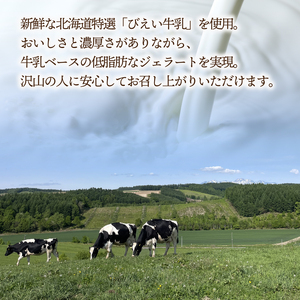 【先行受付5月GW頃から発送】プレミアム ジェラート 6個 セット ジェラート