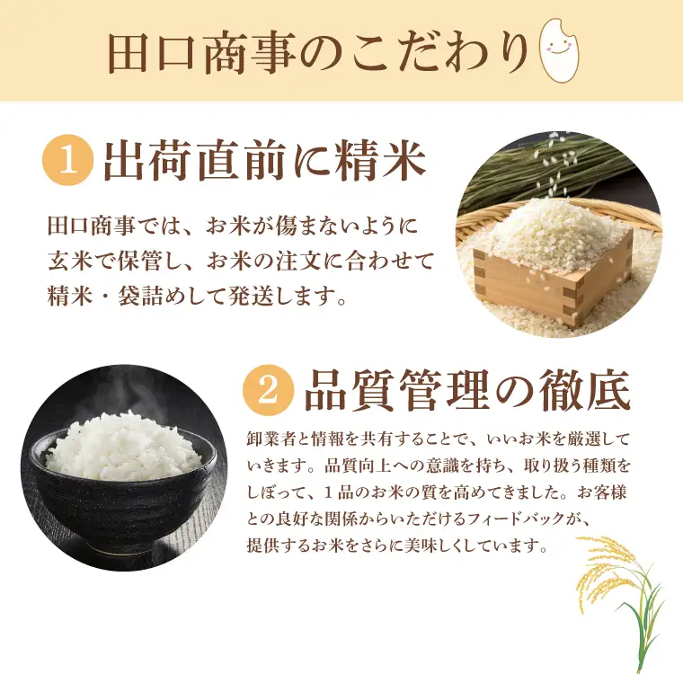 コシヒカリ 5kg (5kg × 1袋)【令和7年産】米 精米 白米 こしひかり 茨城県 鹿嶋市 国産 送料無料 お米 ごはん おにぎり 冷めても 美味しい 粘り うまみ 厳選 出荷直前精米 ツヤ かおり うまい（KY-19）