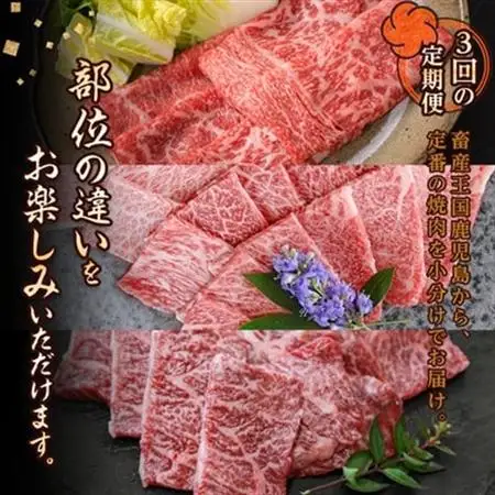 【毎月定期便】黒毛和牛焼肉お楽しみ定期便1.2kg(枕崎市) DD0-0029 全3回【配送不可地域：離島】【4072115】