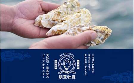 牡蠣 かき 生食用 冷蔵 12個 1ダース 朋輩 牡蠣 篠島 かき 貝 かい オイスター 篠島 かき 貝 かい オイスター 篠島 かき