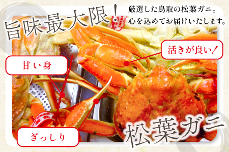 【蒸し】タグ付き松葉ガニ 大 2枚 【松葉ガニ 松葉がに 松葉蟹 まつばがに かに カニ 冷蔵 チルド ブランド ズワイガニ 蒸し ボイル タグ付き 国産 季節限定 お取り寄せ お祝い 鳥取県 日吉津村 日本海】