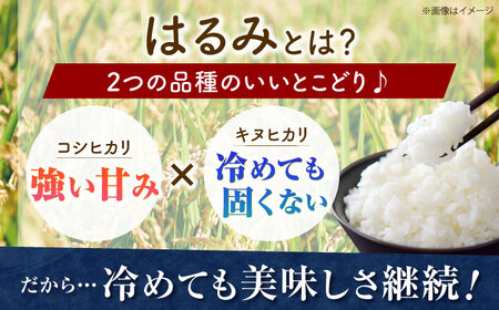 【白米】はるみ米 20kg 白米   [BDBB004]
