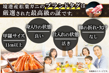 【蒸し】タグ付き松葉ガニ 大 1枚【松葉ガニ 松葉がに 松葉蟹 まつばがに かに カニ 冷蔵 チルド ブランド ズワイガニ 蒸し ボイル タグ付き 国産 季節限定 お取り寄せ お祝い 鳥取県 日吉津村 日本海】