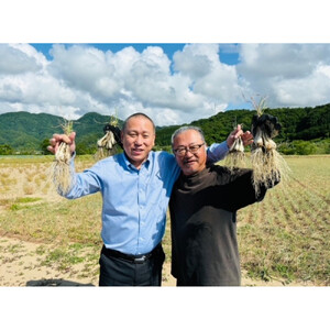 梨とらっきょうで作ったディップ 3種×7個セット