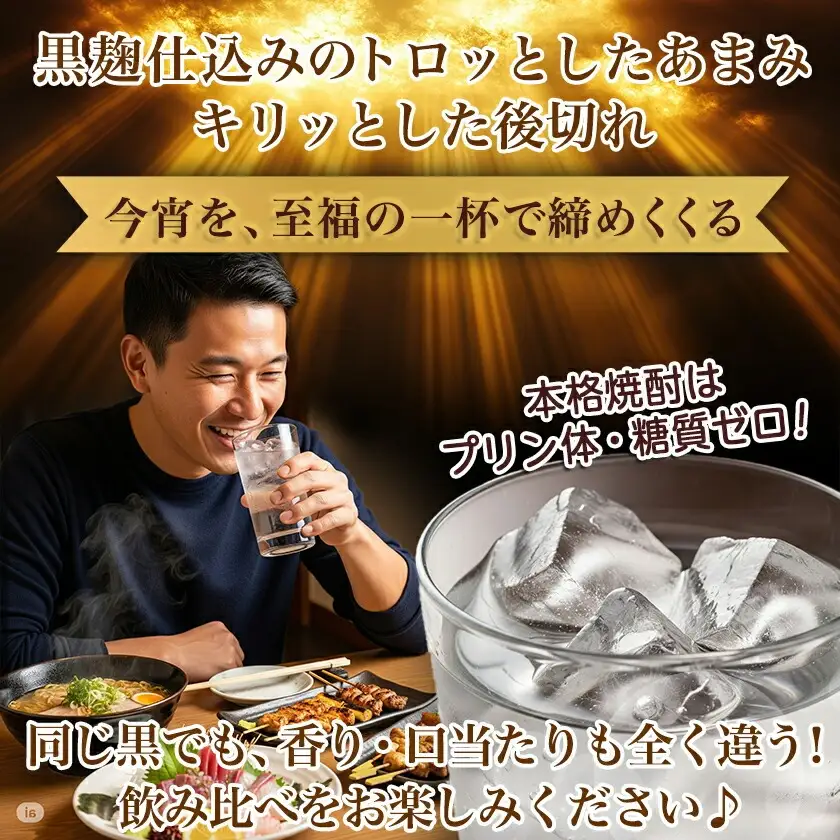 【ちび霧セット】黒霧島・黒霧島EX 25度900mlパック各1本≪みやこんじょ特急便≫〔LG8-M801〕_(都城市) 10日以内お届け スピード配送 霧島酒造 黒霧島EX 黒霧島 本格芋焼酎 25度 900mlパック×2本セット 5合 本格焼酎 いも焼酎 定番 焼酎 お酒 キリボール 宮崎県 都城市