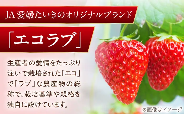 いちご 「紅ほっぺ」 2パック【株式会社フジ・アグリフーズ】BKAY001