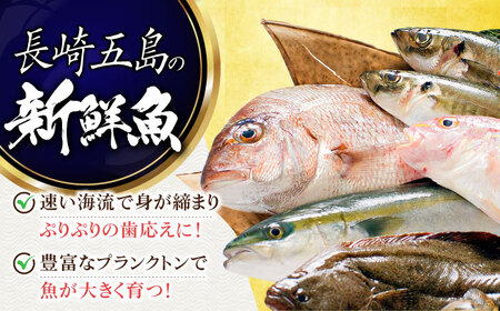 旬魚の塩こうじ漬け5袋 ※魚種は旬の魚をおまかせ 五島市/金沢鮮魚[PEP041]