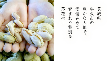牛久市産 茹で 落花生 300g × 2袋 セット 計600g