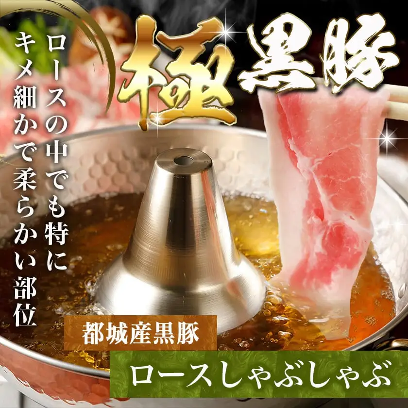黒豚ロースしゃぶしゃぶ用500g&ポークソーセージセット〔AA-N404〕_(都城市) 都城産黒豚 ロース しゃぶしゃぶ用 500g×1パック 宮崎県産豚肉使用 ポークソーセージ 真空 200g×1袋 豚肉