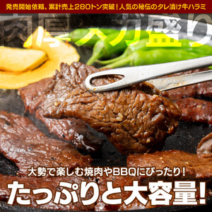 秘伝のタレ漬け牛ハラミ 2kg（500g×4パック） ハラミ 【配送不可：離島】