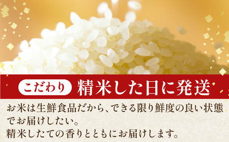 【令和7年産】 コシヒカリ 5kg 精米 白米 米 コメ