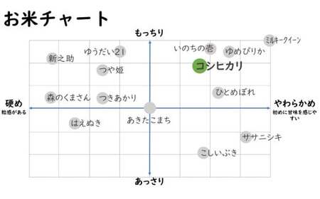 【令和7年産米】コシヒカリ 無洗米 3kg（300gボトル×10本） 重米2.0シリーズ 至極の大粒米 [Y0491]