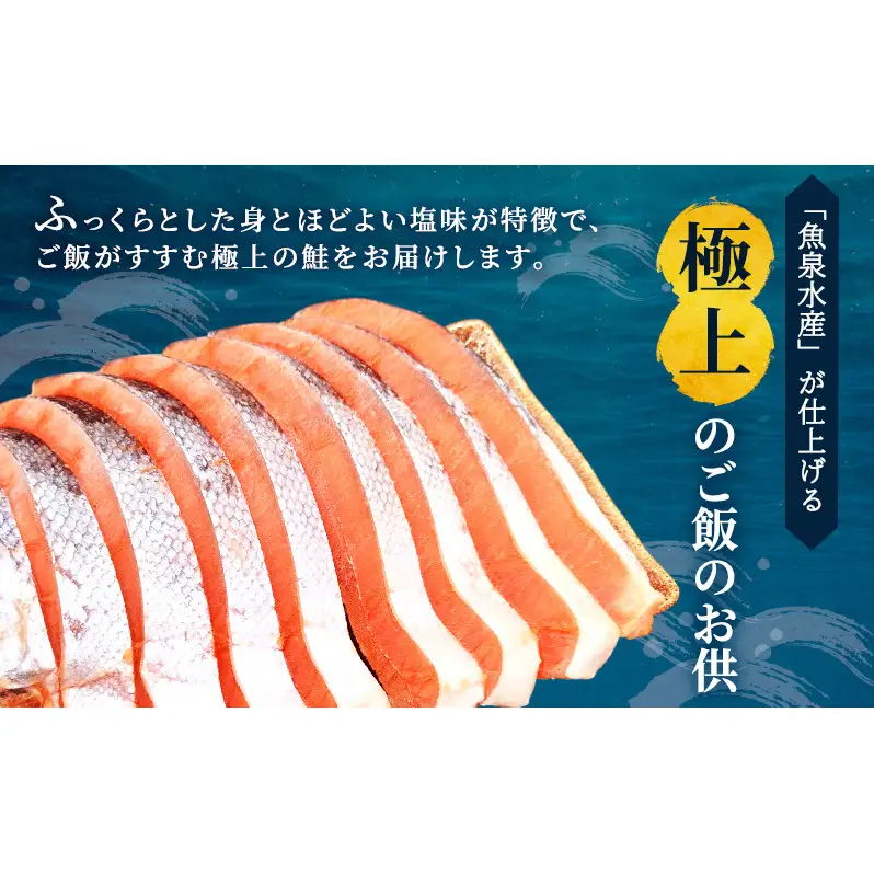 【令和8年7月発送】 訳あり 厚切り 塩銀鮭 切身 1kg 500g×2袋 魚泉水産のこだわり製法 人気 ふるさと納税 鮭 さけ しゃけ サーモン 魚 魚介類 冷凍 肉 厚 塩鮭 銀鮭 送料無料 切身 伊勢湾 三重県 津市