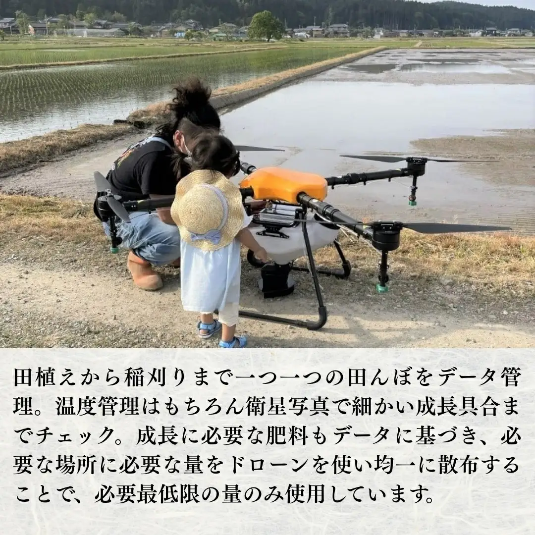 【令和7年産】コシヒカリ 精米 5kg | 新潟県 コシヒカリ