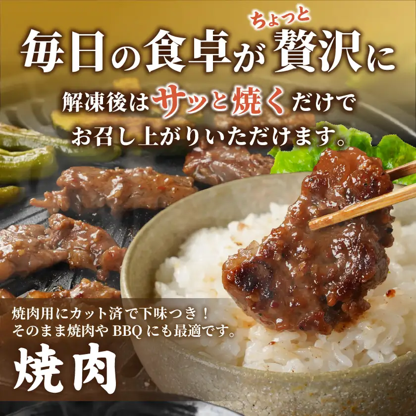 牛ヒレタレ漬け1.2kg(焼肉用カット)_11-3302_(都城市) 