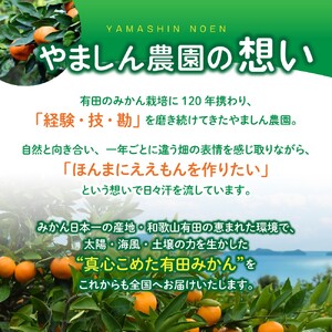 【訳あり・ご家庭用】こだわりの有田みかん 約6kg＋150g(傷み補償分)  【2026年12月中に順次発送予定】光センサー選別 農家直送 / みかん ミカン 有田みかん 温州みかん 柑橘 フルーツ 果物 くだもの 旬 人気 みかん先行予約 家庭用 和歌山【CE-nuk102C-12】