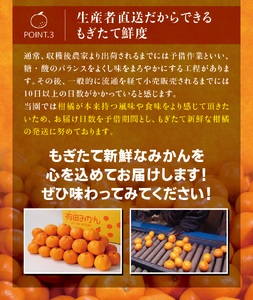 【農家直送】有田みかん 約7.5kg 大玉3L以上 有機質肥料100% 【2026年11月上旬～12月下旬に順次発送予定(お届け日指定不可)】 / みかん ミカン 温州みかん 柑橘 有田 和歌山 産地直送【CE-nuk158D】