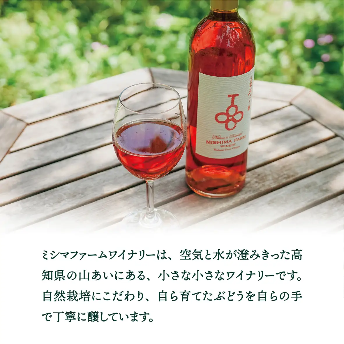 土佐ぶどう酒　ロゼ[mf-002]