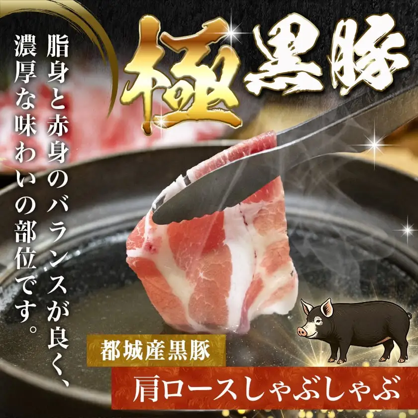 黒豚肩ロースしゃぶしゃぶ用500g&ポークソーセージセット〔AA-N405〕_(都城市) 都城産黒豚 肩ロース しゃぶしゃぶ用 500g×1パック 宮崎県産豚肉使用 ポークソーセージ 真空 200g×1袋 豚肉