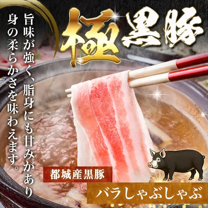 黒豚バラしゃぶしゃぶ用500g&ポークソーセージセット〔AA-N406〕_(都城市) 都城産黒豚 バラ しゃぶしゃぶ用 500g×1パック 宮崎県産豚肉使用 ポークソーセージ 真空 200g×1袋 豚肉