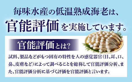 殻付き低温熟成海老6尾×6P《配達不可エリア：北海道・沖縄・離島》・K318-11