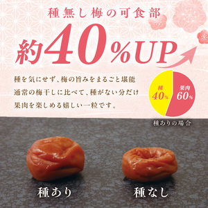 【1233】紀州南高梅「種ぬき梅干し」赤じそ漬け600g