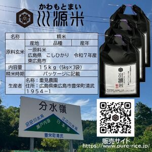 川源米　令和7年産こしひかり　出荷直前精米　15kg(5kg×3袋)