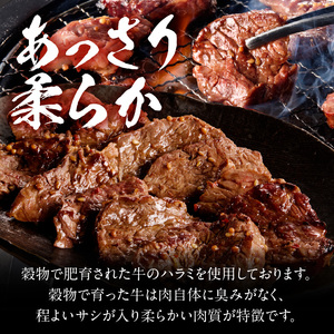 【食肉総合卸 丸正】牛ハラミ味付け 300ｇ［153M07］焼肉用ハラミ 焼肉 牛肉