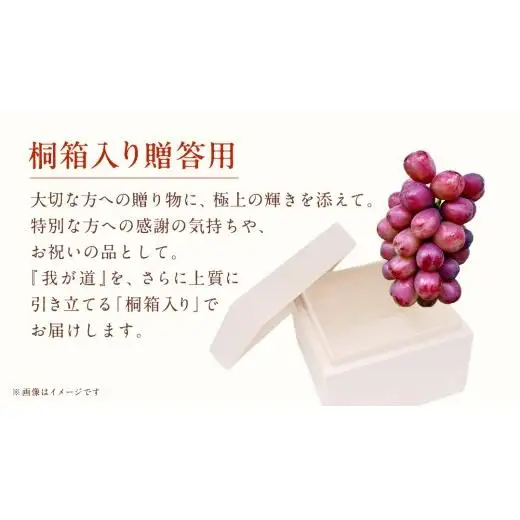 【桐箱入り】 我が道 ２房 【2026年9月上旬発送開始】(茨城県共通返礼品：大子町)