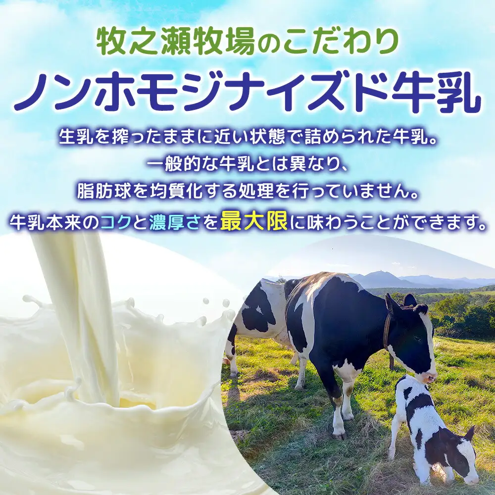 3454. 牧之瀬牧場 牛乳 150ml × 10本 牛乳 牛 乳 みるくミルク ノンホモジナイズド牛乳 脂肪 放牧 濃厚 搾りたて 甘い クリーミー さっぱり 牛耳ボトル 可愛い ギフト 冷蔵 牧之瀬牧場 北海道 弟子屈町