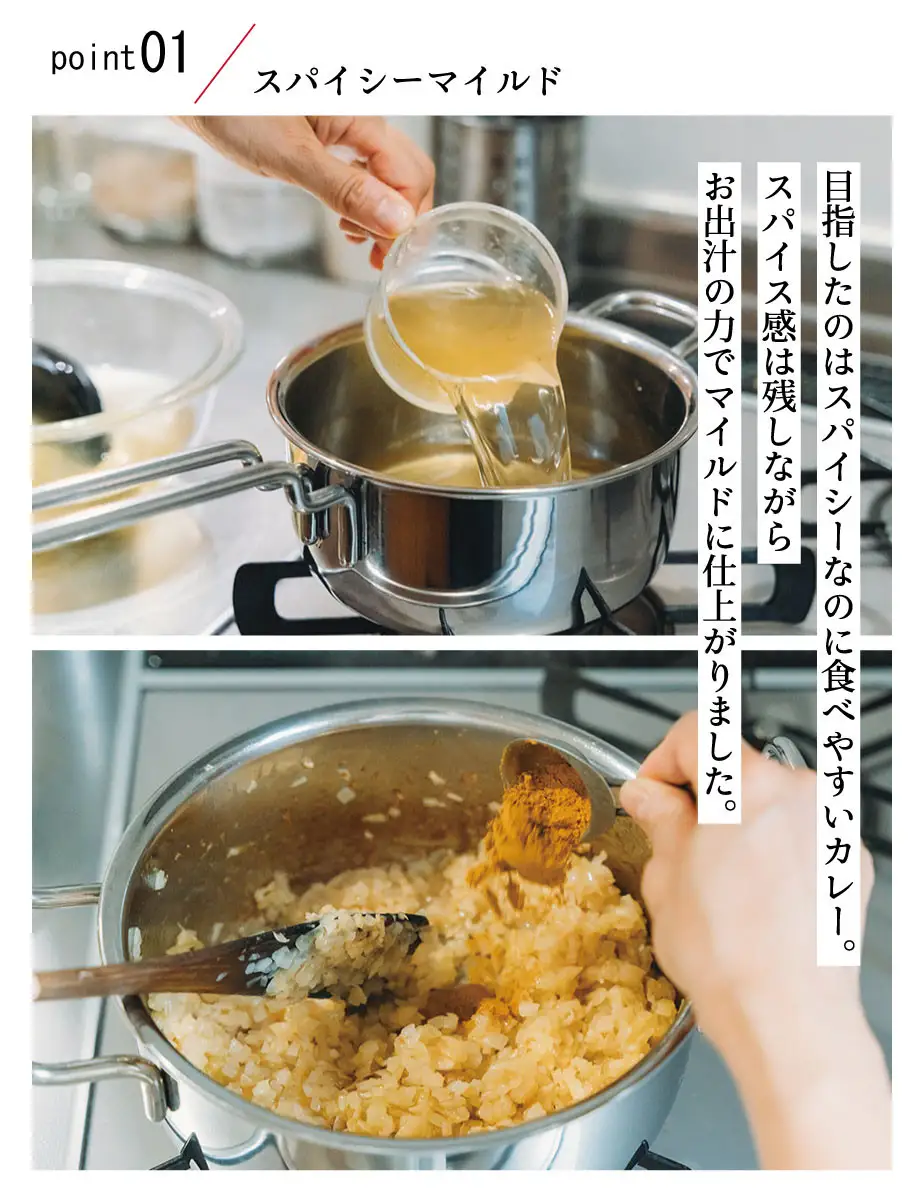【きょうのおだし】スパイスだしカレー 2食入［ 京都 削り節屋 おだしのプロ スパイスカレー 人気 おすすめ 無添加 おいしい お取り寄せ 通販 送料無料 ふるさと納税 ］