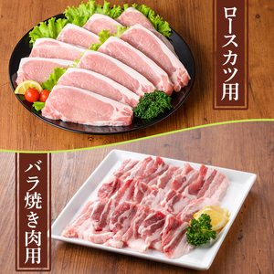 鹿児島県産豚肉セット(5種・合計3.2kg) 国産 九州産 鹿児島県産 豚肉 ぶた肉 肉 ロース 肩ロース スライス 豚バラ 豚ばら バラ肉 ばら肉 切落し 切り落とし ミンチ 豚しゃぶ しゃぶしゃぶ ロースカツ とんかつ トンカツ 焼き肉 焼肉 小分け 冷凍 【TRINITY】_y554
