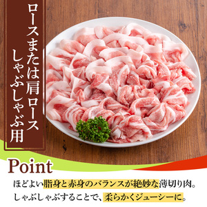 鹿児島県産豚肉セット(4種・合計3.8kg) 国産 九州産 鹿児島県産 豚肉 ぶた肉 肉 ロース 肩ロース バラ肉 ばら肉 切落し 切り落とし ミンチ みんち 豚しゃぶ しゃぶしゃぶ 焼き肉 焼肉 小分け セット 冷凍 【TRINITY】_y555