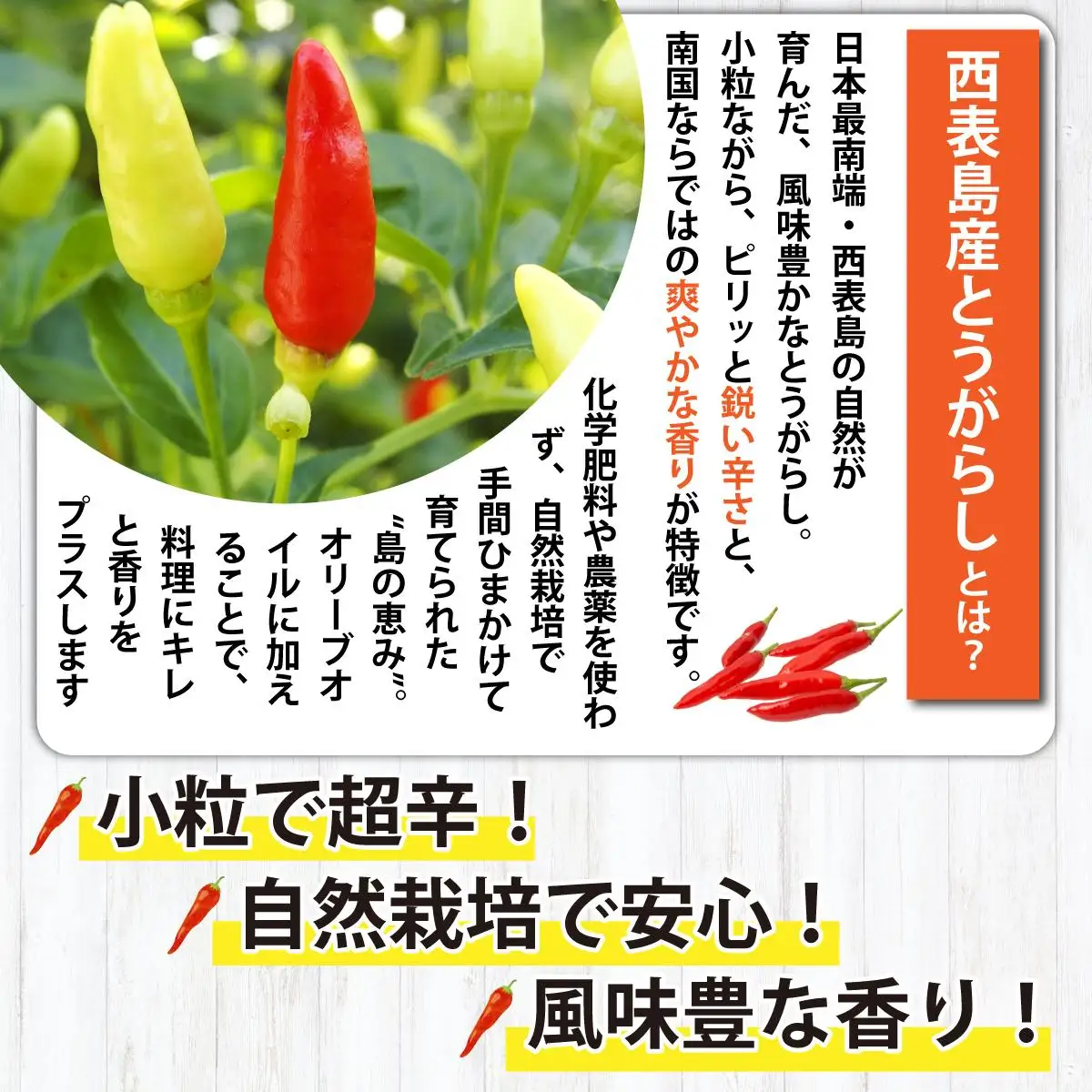 コーレーガーリックオイル