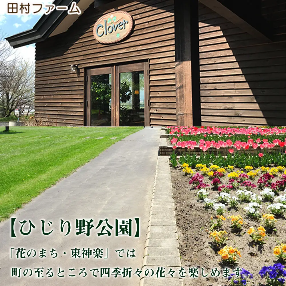 北海道 東神楽町 ☆応援寄附金【返礼品なし】5,000円分