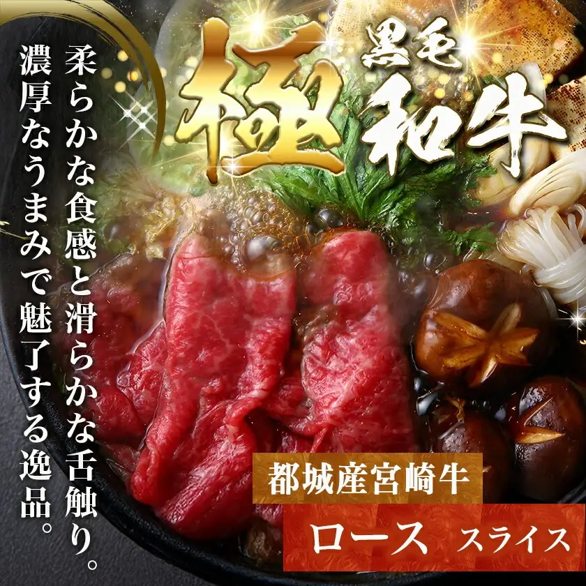 宮崎牛ロースのステーキ&スライスセット〔AD-N4-002〕_(都城市) 宮崎県産 都城産 宮崎牛 牛肉 黒毛和牛 ロース ステーキ 切り落とし ソーセージ